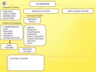 NUTRITION
Formed by 4 systems:
.- DIGESTIVE
.- CIRCULATORY
.- RESPIRATORY
.- EXCRETORY
DIGESTIVE SYSTEM
TYPES OF NUTRIENTS
.- CARBOHIDRATES
.- FATS
.- PROTEINS
.- VITAMINS
.- MINERALS
.- WATER & OXYGEN
Formed by two parts:
DIGESTIVE
TRACT
CIRCULATORY SYSTEM
DIGESTIVE
GLANDS
.- MOUTH
.- PHARYNX
.- OESOPHAGUS
.- STOMACH
.- SMALL INTESTINE
.- LARGE INTESTINE
.- RECTUM
.- ANUS
.-SALIVARY GLANDS
.-
.-
.-
.-
FOOD
PYRAMID
 