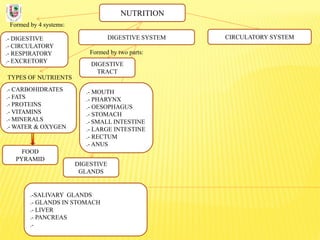 NUTRITION
Formed by 4 systems:
.- DIGESTIVE
.- CIRCULATORY
.- RESPIRATORY
.- EXCRETORY
DIGESTIVE SYSTEM
TYPES OF NUTRIENTS
.- CARBOHIDRATES
.- FATS
.- PROTEINS
.- VITAMINS
.- MINERALS
.- WATER & OXYGEN
Formed by two parts:
DIGESTIVE
TRACT
CIRCULATORY SYSTEM
DIGESTIVE
GLANDS
.- MOUTH
.- PHARYNX
.- OESOPHAGUS
.- STOMACH
.- SMALL INTESTINE
.- LARGE INTESTINE
.- RECTUM
.- ANUS
.-SALIVARY GLANDS
.- GLANDS IN STOMACH
.- LIVER
.- PANCREAS
.-
FOOD
PYRAMID
 