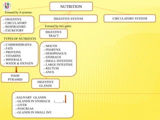 NUTRITION
Formed by 4 systems:
.- DIGESTIVE
.- CIRCULATORY
.- RESPIRATORY
.- EXCRETORY
DIGESTIVE SYSTEM
TYPES OF NUTRIENTS
.- CARBOHIDRATES
.- FATS
.- PROTEINS
.- VITAMINS
.- MINERALS
.- WATER & OXYGEN
Formed by two parts:
DIGESTIVE
TRACT
CIRCULATORY SYSTEM
DIGESTIVE
GLANDS
.- MOUTH
.- PHARYNX
.- OESOPHAGUS
.- STOMACH
.- SMALL INTESTINE
.- LARGE INTESTINE
.- RECTUM
.- ANUS
.-SALIVARY GLANDS
.- GLANDS IN STOMACH (______)
.- LIVER
.- PANCREAS
.- GLANDS IN SMALL INT.
FOOD
PYRAMID
 
