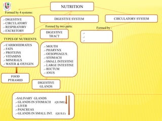 NUTRITION
Formed by 4 systems:
.- DIGESTIVE
.- CIRCULATORY
.- RESPIRATORY
.- EXCRETORY
DIGESTIVE SYSTEM
TYPES OF NUTRIENTS
.- CARBOHIDRATES
.- FATS
.- PROTEINS
.- VITAMINS
.- MINERALS
.- WATER & OXYGEN
Formed by two parts:
DIGESTIVE
TRACT
CIRCULATORY SYSTEM
DIGESTIVE
GLANDS
.- MOUTH
.- PHARYNX
.- OESOPHAGUS
.- STOMACH
.- SMALL INTESTINE
.- LARGE INTESTINE
.- RECTUM
.- ANUS
.-SALIVARY GLANDS
.- GLANDS IN STOMACH (QUIME)
.- LIVER
.- PANCREAS
.- GLANDS IN SMALL INT. (QUILE)
FOOD
PYRAMID
.-
.-
.-
Formed by :
 
