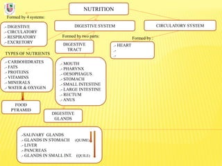NUTRITION
Formed by 4 systems:
.- DIGESTIVE
.- CIRCULATORY
.- RESPIRATORY
.- EXCRETORY
DIGESTIVE SYSTEM
TYPES OF NUTRIENTS
.- CARBOHIDRATES
.- FATS
.- PROTEINS
.- VITAMINS
.- MINERALS
.- WATER & OXYGEN
Formed by two parts:
DIGESTIVE
TRACT
CIRCULATORY SYSTEM
DIGESTIVE
GLANDS
.- MOUTH
.- PHARYNX
.- OESOPHAGUS
.- STOMACH
.- SMALL INTESTINE
.- LARGE INTESTINE
.- RECTUM
.- ANUS
.-SALIVARY GLANDS
.- GLANDS IN STOMACH (QUIME)
.- LIVER
.- PANCREAS
.- GLANDS IN SMALL INT. (QUILE)
FOOD
PYRAMID
.- HEART
.-
.-
Formed by :
 