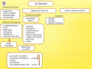 NUTRITION
Formed by 4 systems:
.- DIGESTIVE
.- CIRCULATORY
.- RESPIRATORY
.- EXCRETORY
DIGESTIVE SYSTEM
TYPES OF NUTRIENTS
.- CARBOHIDRATES
.- FATS
.- PROTEINS
.- VITAMINS
.- MINERALS
.- WATER & OXYGEN
Formed by two parts:
DIGESTIVE
TRACT
CIRCULATORY SYSTEM
DIGESTIVE
GLANDS
.- MOUTH
.- PHARYNX
.- OESOPHAGUS
.- STOMACH
.- SMALL INTESTINE
.- LARGE INTESTINE
.- RECTUM
.- ANUS
.-SALIVARY GLANDS
.- GLANDS IN STOMACH (QUIME)
.- LIVER
.- PANCREAS
.- GLANDS IN SMALL INT. (QUILE)
FOOD
PYRAMID
.- HEART
.- BLOOD
.- BLOOD VESSELS
Formed by :
 