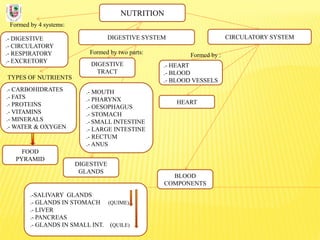 NUTRITION
Formed by 4 systems:
.- DIGESTIVE
.- CIRCULATORY
.- RESPIRATORY
.- EXCRETORY
DIGESTIVE SYSTEM
TYPES OF NUTRIENTS
.- CARBOHIDRATES
.- FATS
.- PROTEINS
.- VITAMINS
.- MINERALS
.- WATER & OXYGEN
Formed by two parts:
DIGESTIVE
TRACT
CIRCULATORY SYSTEM
DIGESTIVE
GLANDS
.- MOUTH
.- PHARYNX
.- OESOPHAGUS
.- STOMACH
.- SMALL INTESTINE
.- LARGE INTESTINE
.- RECTUM
.- ANUS
.-SALIVARY GLANDS
.- GLANDS IN STOMACH (QUIME)
.- LIVER
.- PANCREAS
.- GLANDS IN SMALL INT. (QUILE)
FOOD
PYRAMID
BLOOD
COMPONENTS
.- HEART
.- BLOOD
.- BLOOD VESSELS
Formed by :
HEART
 
