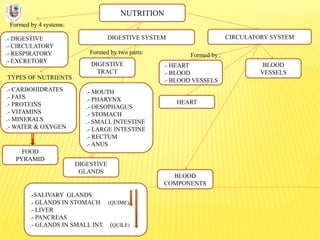 NUTRITION
Formed by 4 systems:
.- DIGESTIVE
.- CIRCULATORY
.- RESPIRATORY
.- EXCRETORY
DIGESTIVE SYSTEM
TYPES OF NUTRIENTS
.- CARBOHIDRATES
.- FATS
.- PROTEINS
.- VITAMINS
.- MINERALS
.- WATER & OXYGEN
Formed by two parts:
DIGESTIVE
TRACT
CIRCULATORY SYSTEM
DIGESTIVE
GLANDS
.- MOUTH
.- PHARYNX
.- OESOPHAGUS
.- STOMACH
.- SMALL INTESTINE
.- LARGE INTESTINE
.- RECTUM
.- ANUS
.-SALIVARY GLANDS
.- GLANDS IN STOMACH (QUIME)
.- LIVER
.- PANCREAS
.- GLANDS IN SMALL INT. (QUILE)
FOOD
PYRAMID
BLOOD
COMPONENTS
BLOOD
VESSELS
.- HEART
.- BLOOD
.- BLOOD VESSELS
Formed by :
HEART
 