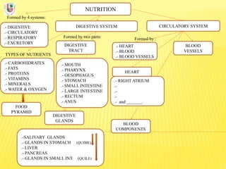 NUTRITION
Formed by 4 systems:
.- DIGESTIVE
.- CIRCULATORY
.- RESPIRATORY
.- EXCRETORY
DIGESTIVE SYSTEM
TYPES OF NUTRIENTS
.- CARBOHIDRATES
.- FATS
.- PROTEINS
.- VITAMINS
.- MINERALS
.- WATER & OXYGEN
Formed by two parts:
DIGESTIVE
TRACT
CIRCULATORY SYSTEM
DIGESTIVE
GLANDS
.- MOUTH
.- PHARYNX
.- OESOPHAGUS
.- STOMACH
.- SMALL INTESTINE
.- LARGE INTESTINE
.- RECTUM
.- ANUS
.-SALIVARY GLANDS
.- GLANDS IN STOMACH (QUIME)
.- LIVER
.- PANCREAS
.- GLANDS IN SMALL INT. (QUILE)
FOOD
PYRAMID
BLOOD
COMPONENTS
BLOOD
VESSELS
.- HEART
.- BLOOD
.- BLOOD VESSELS
Formed by :
.- RIGHT ATRIUM
.-
.-
.-
.- and _______.
HEART
 