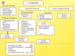 NUTRITION
Formed by 4 systems:
.- DIGESTIVE
.- CIRCULATORY
.- RESPIRATORY
.- EXCRETORY
DIGESTIVE SYSTEM
TYPES OF NUTRIENTS
.- CARBOHIDRATES
.- FATS
.- PROTEINS
.- VITAMINS
.- MINERALS
.- WATER & OXYGEN
Formed by two parts:
DIGESTIVE
TRACT
CIRCULATORY SYSTEM
DIGESTIVE
GLANDS
.- MOUTH
.- PHARYNX
.- OESOPHAGUS
.- STOMACH
.- SMALL INTESTINE
.- LARGE INTESTINE
.- RECTUM
.- ANUS
.-SALIVARY GLANDS
.- GLANDS IN STOMACH (QUIME)
.- LIVER
.- PANCREAS
.- GLANDS IN SMALL INT. (QUILE)
FOOD
PYRAMID
BLOOD
COMPONENTS
BLOOD
VESSELS
.- HEART
.- BLOOD
.- BLOOD VESSELS
Formed by :
.- RIGHT ATRIUM
.- LEFT ATRIUM
.-
.-
.- and _______.
HEART
 