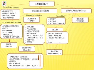 NUTRITION
Formed by 4 systems:
.- DIGESTIVE
.- CIRCULATORY
.- RESPIRATORY
.- EXCRETORY
DIGESTIVE SYSTEM
TYPES OF NUTRIENTS
.- CARBOHIDRATES
.- FATS
.- PROTEINS
.- VITAMINS
.- MINERALS
.- WATER & OXYGEN
Formed by two parts:
DIGESTIVE
TRACT
CIRCULATORY SYSTEM
DIGESTIVE
GLANDS
.- MOUTH
.- PHARYNX
.- OESOPHAGUS
.- STOMACH
.- SMALL INTESTINE
.- LARGE INTESTINE
.- RECTUM
.- ANUS
.-SALIVARY GLANDS
.- GLANDS IN STOMACH (QUIME)
.- LIVER
.- PANCREAS
.- GLANDS IN SMALL INT. (QUILE)
FOOD
PYRAMID
BLOOD
COMPONENTS
BLOOD
VESSELS
.- HEART
.- BLOOD
.- BLOOD VESSELS
Formed by :
.- RIGHT ATRIUM
.- LEFT ATRIUM
.- RIGHT VETRICLE
.-
.- and _______.
HEART
 