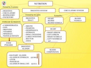 NUTRITION
Formed by 4 systems:
.- DIGESTIVE
.- CIRCULATORY
.- RESPIRATORY
.- EXCRETORY
DIGESTIVE SYSTEM
TYPES OF NUTRIENTS
.- CARBOHIDRATES
.- FATS
.- PROTEINS
.- VITAMINS
.- MINERALS
.- WATER & OXYGEN
Formed by two parts:
DIGESTIVE
TRACT
CIRCULATORY SYSTEM
DIGESTIVE
GLANDS
.- MOUTH
.- PHARYNX
.- OESOPHAGUS
.- STOMACH
.- SMALL INTESTINE
.- LARGE INTESTINE
.- RECTUM
.- ANUS
.-SALIVARY GLANDS
.- GLANDS IN STOMACH (QUIME)
.- LIVER
.- PANCREAS
.- GLANDS IN SMALL INT. (QUILE)
FOOD
PYRAMID
BLOOD
COMPONENTS
BLOOD
VESSELS
.- HEART
.- BLOOD
.- BLOOD VESSELS
Formed by :
.- RIGHT ATRIUM
.- LEFT ATRIUM
.- RIGHT VETRICLE
.- LEFT VENTRICLE
.- and _______.
HEART
 