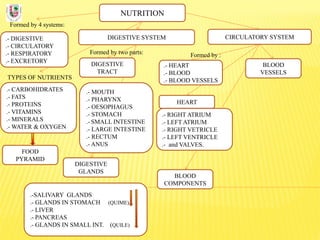 NUTRITION
Formed by 4 systems:
.- DIGESTIVE
.- CIRCULATORY
.- RESPIRATORY
.- EXCRETORY
DIGESTIVE SYSTEM
TYPES OF NUTRIENTS
.- CARBOHIDRATES
.- FATS
.- PROTEINS
.- VITAMINS
.- MINERALS
.- WATER & OXYGEN
Formed by two parts:
DIGESTIVE
TRACT
CIRCULATORY SYSTEM
DIGESTIVE
GLANDS
.- MOUTH
.- PHARYNX
.- OESOPHAGUS
.- STOMACH
.- SMALL INTESTINE
.- LARGE INTESTINE
.- RECTUM
.- ANUS
.-SALIVARY GLANDS
.- GLANDS IN STOMACH (QUIME)
.- LIVER
.- PANCREAS
.- GLANDS IN SMALL INT. (QUILE)
FOOD
PYRAMID
BLOOD
COMPONENTS
BLOOD
VESSELS
.- HEART
.- BLOOD
.- BLOOD VESSELS
Formed by :
.- RIGHT ATRIUM
.- LEFT ATRIUM
.- RIGHT VETRICLE
.- LEFT VENTRICLE
.- and VALVES.
HEART
 