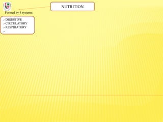 NUTRITION
Formed by 4 systems:
.- DIGESTIVE
.- CIRCULATORY
.- RESPIRATORY
.-
 
