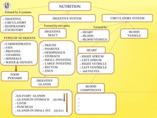 NUTRITION
Formed by 4 systems:
.- DIGESTIVE
.- CIRCULATORY
.- RESPIRATORY
.- EXCRETORY
DIGESTIVE SYSTEM
TYPES OF NUTRIENTS
.- CARBOHIDRATES
.- FATS
.- PROTEINS
.- VITAMINS
.- MINERALS
.- WATER & OXYGEN
Formed by two parts:
DIGESTIVE
TRACT
CIRCULATORY SYSTEM
DIGESTIVE
GLANDS
.- MOUTH
.- PHARYNX
.- OESOPHAGUS
.- STOMACH
.- SMALL INTESTINE
.- LARGE INTESTINE
.- RECTUM
.- ANUS
.-SALIVARY GLANDS
.- GLANDS IN STOMACH (QUIME)
.- LIVER
.- PANCREAS
.- GLANDS IN SMALL INT. (QUILE)
FOOD
PYRAMID
BLOOD
COMPONENTS
.-
.-
.-
.-
BLOOD
VESSELS
.- HEART
.- BLOOD
.- BLOOD VESSELS
Formed by :
.- RIGHT ATRIUM
.- LEFT ATRIUM
.- RIGHT VETRICLE
.- LEFT VENTRICLE
.- and VALVES.
HEART
 