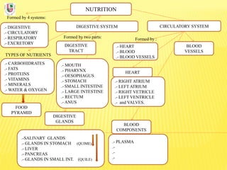 NUTRITION
Formed by 4 systems:
.- DIGESTIVE
.- CIRCULATORY
.- RESPIRATORY
.- EXCRETORY
DIGESTIVE SYSTEM
TYPES OF NUTRIENTS
.- CARBOHIDRATES
.- FATS
.- PROTEINS
.- VITAMINS
.- MINERALS
.- WATER & OXYGEN
Formed by two parts:
DIGESTIVE
TRACT
CIRCULATORY SYSTEM
DIGESTIVE
GLANDS
.- MOUTH
.- PHARYNX
.- OESOPHAGUS
.- STOMACH
.- SMALL INTESTINE
.- LARGE INTESTINE
.- RECTUM
.- ANUS
.-SALIVARY GLANDS
.- GLANDS IN STOMACH (QUIME)
.- LIVER
.- PANCREAS
.- GLANDS IN SMALL INT. (QUILE)
FOOD
PYRAMID
BLOOD
COMPONENTS
.- PLASMA
.-
.-
.-
BLOOD
VESSELS
.- HEART
.- BLOOD
.- BLOOD VESSELS
Formed by :
.- RIGHT ATRIUM
.- LEFT ATRIUM
.- RIGHT VETRICLE
.- LEFT VENTRICLE
.- and VALVES.
HEART
 