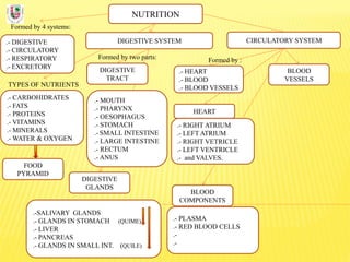 NUTRITION
Formed by 4 systems:
.- DIGESTIVE
.- CIRCULATORY
.- RESPIRATORY
.- EXCRETORY
DIGESTIVE SYSTEM
TYPES OF NUTRIENTS
.- CARBOHIDRATES
.- FATS
.- PROTEINS
.- VITAMINS
.- MINERALS
.- WATER & OXYGEN
Formed by two parts:
DIGESTIVE
TRACT
CIRCULATORY SYSTEM
DIGESTIVE
GLANDS
.- MOUTH
.- PHARYNX
.- OESOPHAGUS
.- STOMACH
.- SMALL INTESTINE
.- LARGE INTESTINE
.- RECTUM
.- ANUS
.-SALIVARY GLANDS
.- GLANDS IN STOMACH (QUIME)
.- LIVER
.- PANCREAS
.- GLANDS IN SMALL INT. (QUILE)
FOOD
PYRAMID
BLOOD
COMPONENTS
.- PLASMA
.- RED BLOOD CELLS
.-
.-
BLOOD
VESSELS
.- HEART
.- BLOOD
.- BLOOD VESSELS
Formed by :
.- RIGHT ATRIUM
.- LEFT ATRIUM
.- RIGHT VETRICLE
.- LEFT VENTRICLE
.- and VALVES.
HEART
 