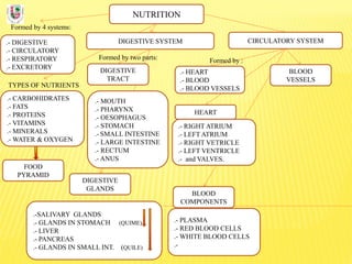 NUTRITION
Formed by 4 systems:
.- DIGESTIVE
.- CIRCULATORY
.- RESPIRATORY
.- EXCRETORY
DIGESTIVE SYSTEM
TYPES OF NUTRIENTS
.- CARBOHIDRATES
.- FATS
.- PROTEINS
.- VITAMINS
.- MINERALS
.- WATER & OXYGEN
Formed by two parts:
DIGESTIVE
TRACT
CIRCULATORY SYSTEM
DIGESTIVE
GLANDS
.- MOUTH
.- PHARYNX
.- OESOPHAGUS
.- STOMACH
.- SMALL INTESTINE
.- LARGE INTESTINE
.- RECTUM
.- ANUS
.-SALIVARY GLANDS
.- GLANDS IN STOMACH (QUIME)
.- LIVER
.- PANCREAS
.- GLANDS IN SMALL INT. (QUILE)
FOOD
PYRAMID
BLOOD
COMPONENTS
.- PLASMA
.- RED BLOOD CELLS
.- WHITE BLOOD CELLS
.-
BLOOD
VESSELS
.- HEART
.- BLOOD
.- BLOOD VESSELS
Formed by :
.- RIGHT ATRIUM
.- LEFT ATRIUM
.- RIGHT VETRICLE
.- LEFT VENTRICLE
.- and VALVES.
HEART
 