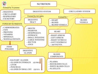 NUTRITION
Formed by 4 systems:
.- DIGESTIVE
.- CIRCULATORY
.- RESPIRATORY
.- EXCRETORY
DIGESTIVE SYSTEM
TYPES OF NUTRIENTS
.- CARBOHIDRATES
.- FATS
.- PROTEINS
.- VITAMINS
.- MINERALS
.- WATER & OXYGEN
Formed by two parts:
DIGESTIVE
TRACT
CIRCULATORY SYSTEM
DIGESTIVE
GLANDS
.- MOUTH
.- PHARYNX
.- OESOPHAGUS
.- STOMACH
.- SMALL INTESTINE
.- LARGE INTESTINE
.- RECTUM
.- ANUS
.-SALIVARY GLANDS
.- GLANDS IN STOMACH (QUIME)
.- LIVER
.- PANCREAS
.- GLANDS IN SMALL INT. (QUILE)
FOOD
PYRAMID
BLOOD
COMPONENTS
.- PLASMA
.- RED BLOOD CELLS
.- WHITE BLOOD CELLS
.- PLATELETS
BLOOD
VESSELS
.- HEART
.- BLOOD
.- BLOOD VESSELS
Formed by :
.- RIGHT ATRIUM
.- LEFT ATRIUM
.- RIGHT VETRICLE
.- LEFT VENTRICLE
.- and VALVES.
HEART
 