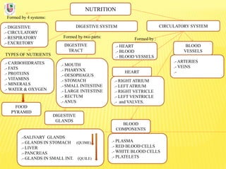 NUTRITION
Formed by 4 systems:
.- DIGESTIVE
.- CIRCULATORY
.- RESPIRATORY
.- EXCRETORY
DIGESTIVE SYSTEM
TYPES OF NUTRIENTS
.- CARBOHIDRATES
.- FATS
.- PROTEINS
.- VITAMINS
.- MINERALS
.- WATER & OXYGEN
Formed by two parts:
DIGESTIVE
TRACT
CIRCULATORY SYSTEM
DIGESTIVE
GLANDS
.- MOUTH
.- PHARYNX
.- OESOPHAGUS
.- STOMACH
.- SMALL INTESTINE
.- LARGE INTESTINE
.- RECTUM
.- ANUS
.-SALIVARY GLANDS
.- GLANDS IN STOMACH (QUIME)
.- LIVER
.- PANCREAS
.- GLANDS IN SMALL INT. (QUILE)
FOOD
PYRAMID
BLOOD
COMPONENTS
.- PLASMA
.- RED BLOOD CELLS
.- WHITE BLOOD CELLS
.- PLATELETS
BLOOD
VESSELS
.- ARTERIES
.- VEINS
.-
.- HEART
.- BLOOD
.- BLOOD VESSELS
Formed by :
.- RIGHT ATRIUM
.- LEFT ATRIUM
.- RIGHT VETRICLE
.- LEFT VENTRICLE
.- and VALVES.
HEART
 