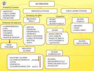 NUTRITION
Formed by 4 systems:
.- DIGESTIVE
.- CIRCULATORY
.- RESPIRATORY
.- EXCRETORY
DIGESTIVE SYSTEM
TYPES OF NUTRIENTS
.- CARBOHIDRATES
.- FATS
.- PROTEINS
.- VITAMINS
.- MINERALS
.- WATER & OXYGEN
Formed by two parts:
DIGESTIVE
TRACT
CIRCULATORY SYSTEM
DIGESTIVE
GLANDS
.- MOUTH
.- PHARYNX
.- OESOPHAGUS
.- STOMACH
.- SMALL INTESTINE
.- LARGE INTESTINE
.- RECTUM
.- ANUS
.-SALIVARY GLANDS
.- GLANDS IN STOMACH (QUIME)
.- LIVER
.- PANCREAS
.- GLANDS IN SMALL INT. (QUILE)
FOOD
PYRAMID
BLOOD
COMPONENTS
.- PLASMA
.- RED BLOOD CELLS
.- WHITE BLOOD CELLS
.- PLATELETS
BLOOD
VESSELS
.- ARTERIES
.- VEINS
.- CAPILLARIES
.- HEART
.- BLOOD
.- BLOOD VESSELS
Formed by :
.- RIGHT ATRIUM
.- LEFT ATRIUM
.- RIGHT VETRICLE
.- LEFT VENTRICLE
.- and VALVES.
HEART
BLOOD
CIRCULATION
 