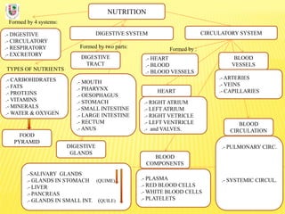 NUTRITION
Formed by 4 systems:
.- DIGESTIVE
.- CIRCULATORY
.- RESPIRATORY
.- EXCRETORY
DIGESTIVE SYSTEM
TYPES OF NUTRIENTS
.- CARBOHIDRATES
.- FATS
.- PROTEINS
.- VITAMINS
.- MINERALS
.- WATER & OXYGEN
Formed by two parts:
DIGESTIVE
TRACT
CIRCULATORY SYSTEM
DIGESTIVE
GLANDS
.- MOUTH
.- PHARYNX
.- OESOPHAGUS
.- STOMACH
.- SMALL INTESTINE
.- LARGE INTESTINE
.- RECTUM
.- ANUS
.-SALIVARY GLANDS
.- GLANDS IN STOMACH (QUIME)
.- LIVER
.- PANCREAS
.- GLANDS IN SMALL INT. (QUILE)
FOOD
PYRAMID
BLOOD
COMPONENTS
.- PLASMA
.- RED BLOOD CELLS
.- WHITE BLOOD CELLS
.- PLATELETS
BLOOD
VESSELS
.- ARTERIES
.- VEINS
.- CAPILLARIES
.- HEART
.- BLOOD
.- BLOOD VESSELS
Formed by :
.- RIGHT ATRIUM
.- LEFT ATRIUM
.- RIGHT VETRICLE
.- LEFT VENTRICLE
.- and VALVES.
HEART
BLOOD
CIRCULATION
.- PULMONARY CIRC.
.- SYSTEMIC CIRCUL.
 