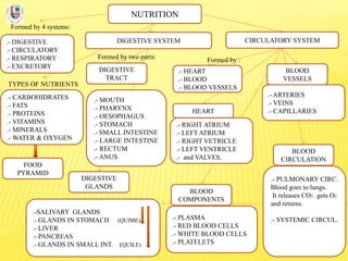 NUTRITION
Formed by 4 systems:
.- DIGESTIVE
.- CIRCULATORY
.- RESPIRATORY
.- EXCRETORY
DIGESTIVE SYSTEM
TYPES OF NUTRIENTS
.- CARBOHIDRATES
.- FATS
.- PROTEINS
.- VITAMINS
.- MINERALS
.- WATER & OXYGEN
Formed by two parts:
DIGESTIVE
TRACT
CIRCULATORY SYSTEM
DIGESTIVE
GLANDS
.- MOUTH
.- PHARYNX
.- OESOPHAGUS
.- STOMACH
.- SMALL INTESTINE
.- LARGE INTESTINE
.- RECTUM
.- ANUS
.-SALIVARY GLANDS
.- GLANDS IN STOMACH (QUIME)
.- LIVER
.- PANCREAS
.- GLANDS IN SMALL INT. (QUILE)
FOOD
PYRAMID
BLOOD
COMPONENTS
.- PLASMA
.- RED BLOOD CELLS
.- WHITE BLOOD CELLS
.- PLATELETS
BLOOD
VESSELS
.- ARTERIES
.- VEINS
.- CAPILLARIES
.- HEART
.- BLOOD
.- BLOOD VESSELS
Formed by :
.- RIGHT ATRIUM
.- LEFT ATRIUM
.- RIGHT VETRICLE
.- LEFT VENTRICLE
.- and VALVES.
HEART
BLOOD
CIRCULATION
.- PULMONARY CIRC.
Blood goes to lungs.
It releases CO2 , gets O2
and returns.
.- SYSTEMIC CIRCUL.
 