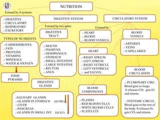 NUTRITION
Formed by 4 systems:
.- DIGESTIVE
.- CIRCULATORY
.- RESPIRATORY
.- EXCRETORY
DIGESTIVE SYSTEM
TYPES OF NUTRIENTS
.- CARBOHIDRATES
.- FATS
.- PROTEINS
.- VITAMINS
.- MINERALS
.- WATER & OXYGEN
Formed by two parts:
DIGESTIVE
TRACT
CIRCULATORY SYSTEM
DIGESTIVE
GLANDS
.- MOUTH
.- PHARYNX
.- OESOPHAGUS
.- STOMACH
.- SMALL INTESTINE
.- LARGE INTESTINE
.- RECTUM
.- ANUS
.-SALIVARY GLANDS
.- GLANDS IN STOMACH (QUIME)
.- LIVER
.- PANCREAS
.- GLANDS IN SMALL INT. (QUILE)
FOOD
PYRAMID
BLOOD
COMPONENTS
.- PLASMA
.- RED BLOOD CELLS
.- WHITE BLOOD CELLS
.- PLATELETS
BLOOD
VESSELS
.- ARTERIES
.- VEINS
.- CAPILLARIES
.- HEART
.- BLOOD
.- BLOOD VESSELS
Formed by :
.- RIGHT ATRIUM
.- LEFT ATRIUM
.- RIGHT VETRICLE
.- LEFT VENTRICLE
.- and VALVES.
HEART
BLOOD
CIRCULATION
.- PULMONARY CIRC.
Blood goes to lungs.
It releases CO2 , gets O2
and returns.
.- SYSTEMIC CIRCUL.
Blood goes to the rest of
the body. It releases O2,
gets CO2 and returns.
 
