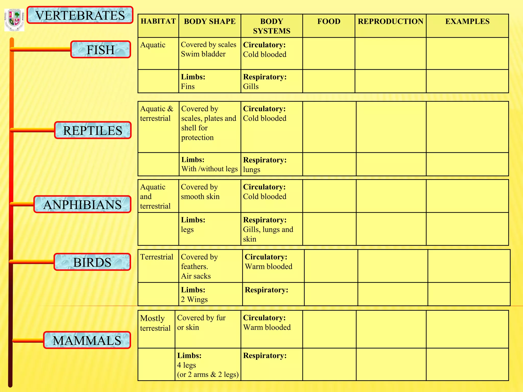 HABITAT BODY SHAPE BODY
SYSTEMS
FOOD REPRODUCTION EXAMPLES
Aquatic Covered by scales
Swim bladder
Circulatory:
Cold blooded
Limbs:
Fins
Respiratory:
Gills
FISH
REPTILES
ANPHIBIANS
BIRDS
MAMMALS
VERTEBRATES
Aquatic &
terrestrial
Covered by
scales, plates and
shell for
protection
Circulatory:
Cold blooded
Limbs:
With /without legs
Respiratory:
lungs
Aquatic
and
terrestrial
Covered by
smooth skin
Circulatory:
Cold blooded
Limbs:
legs
Respiratory:
Gills, lungs and
skin
Terrestrial Covered by
feathers.
Air sacks
Circulatory:
Warm blooded
Limbs:
2 Wings
Respiratory:
Mostly
terrestrial
Covered by fur
or skin
Circulatory:
Warm blooded
Limbs:
4 legs
(or 2 arms & 2 legs)
Respiratory:
 