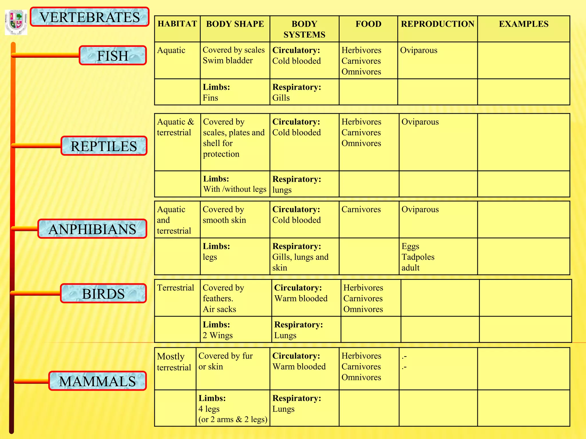HABITAT BODY SHAPE BODY
SYSTEMS
FOOD REPRODUCTION EXAMPLES
Aquatic Covered by scales
Swim bladder
Circulatory:
Cold blooded
Herbivores
Carnivores
Omnivores
Oviparous
Limbs:
Fins
Respiratory:
Gills
FISH
REPTILES
ANPHIBIANS
BIRDS
MAMMALS
VERTEBRATES
Aquatic &
terrestrial
Covered by
scales, plates and
shell for
protection
Circulatory:
Cold blooded
Herbivores
Carnivores
Omnivores
Oviparous
Limbs:
With /without legs
Respiratory:
lungs
Aquatic
and
terrestrial
Covered by
smooth skin
Circulatory:
Cold blooded
Carnivores Oviparous
Limbs:
legs
Respiratory:
Gills, lungs and
skin
Eggs
Tadpoles
adult
Terrestrial Covered by
feathers.
Air sacks
Circulatory:
Warm blooded
Herbivores
Carnivores
Omnivores
Limbs:
2 Wings
Respiratory:
Lungs
Mostly
terrestrial
Covered by fur
or skin
Circulatory:
Warm blooded
Herbivores
Carnivores
Omnivores
.-
.-
Limbs:
4 legs
(or 2 arms & 2 legs)
Respiratory:
Lungs
 