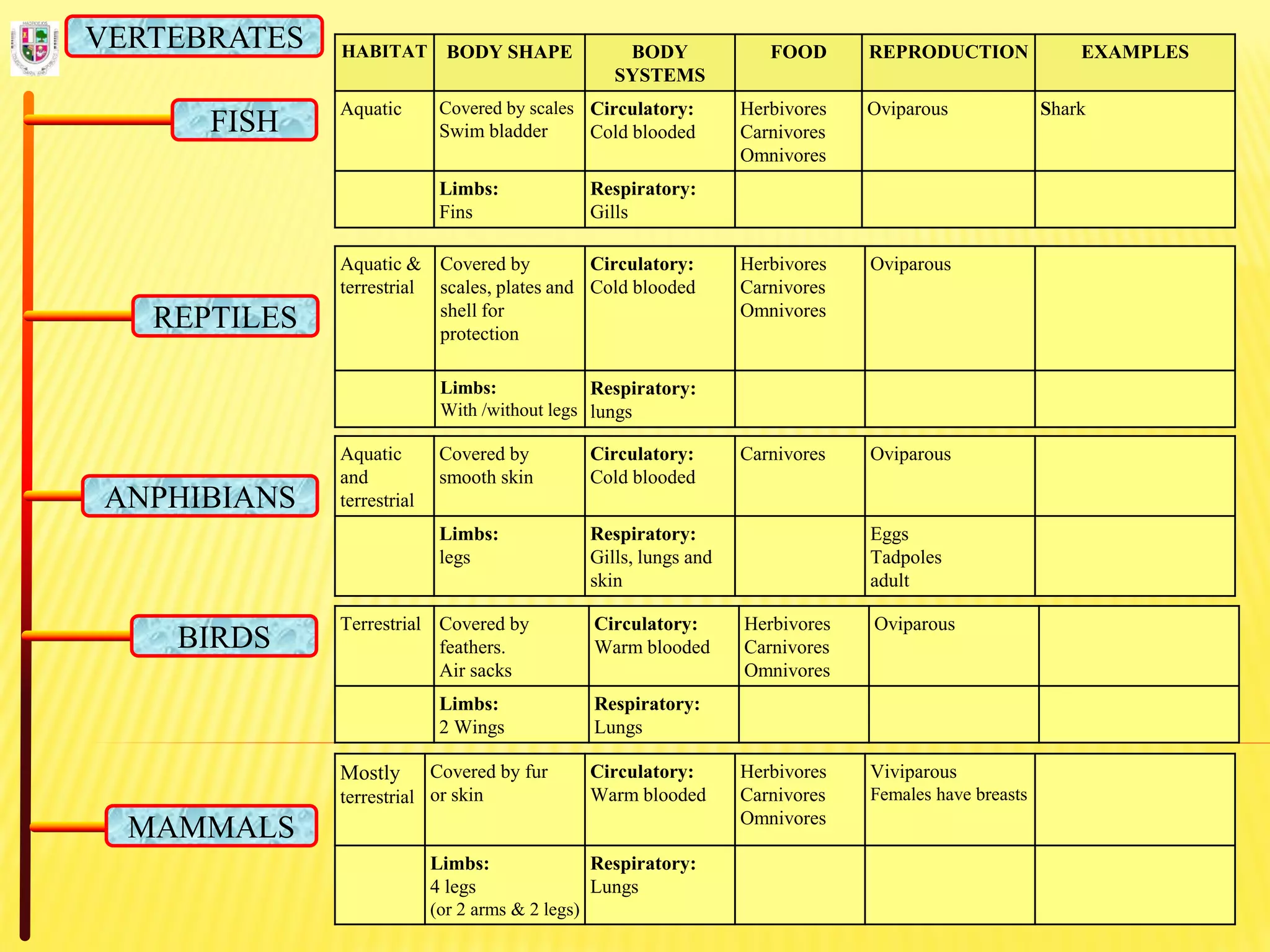 HABITAT BODY SHAPE BODY
SYSTEMS
FOOD REPRODUCTION EXAMPLES
Aquatic Covered by scales
Swim bladder
Circulatory:
Cold blooded
Herbivores
Carnivores
Omnivores
Oviparous Shark
Limbs:
Fins
Respiratory:
Gills
FISH
REPTILES
ANPHIBIANS
BIRDS
MAMMALS
VERTEBRATES
Aquatic &
terrestrial
Covered by
scales, plates and
shell for
protection
Circulatory:
Cold blooded
Herbivores
Carnivores
Omnivores
Oviparous
Limbs:
With /without legs
Respiratory:
lungs
Aquatic
and
terrestrial
Covered by
smooth skin
Circulatory:
Cold blooded
Carnivores Oviparous
Limbs:
legs
Respiratory:
Gills, lungs and
skin
Eggs
Tadpoles
adult
Terrestrial Covered by
feathers.
Air sacks
Circulatory:
Warm blooded
Herbivores
Carnivores
Omnivores
Oviparous
Limbs:
2 Wings
Respiratory:
Lungs
Mostly
terrestrial
Covered by fur
or skin
Circulatory:
Warm blooded
Herbivores
Carnivores
Omnivores
Viviparous
Females have breasts
Limbs:
4 legs
(or 2 arms & 2 legs)
Respiratory:
Lungs
 