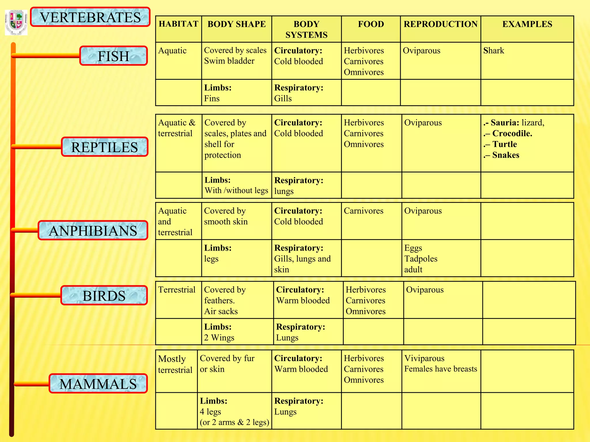 HABITAT BODY SHAPE BODY
SYSTEMS
FOOD REPRODUCTION EXAMPLES
Aquatic Covered by scales
Swim bladder
Circulatory:
Cold blooded
Herbivores
Carnivores
Omnivores
Oviparous Shark
Limbs:
Fins
Respiratory:
Gills
FISH
REPTILES
ANPHIBIANS
BIRDS
MAMMALS
VERTEBRATES
Aquatic &
terrestrial
Covered by
scales, plates and
shell for
protection
Circulatory:
Cold blooded
Herbivores
Carnivores
Omnivores
Oviparous .- Sauria: lizard,
.– Crocodile.
.– Turtle
.– Snakes
Limbs:
With /without legs
Respiratory:
lungs
Aquatic
and
terrestrial
Covered by
smooth skin
Circulatory:
Cold blooded
Carnivores Oviparous
Limbs:
legs
Respiratory:
Gills, lungs and
skin
Eggs
Tadpoles
adult
Terrestrial Covered by
feathers.
Air sacks
Circulatory:
Warm blooded
Herbivores
Carnivores
Omnivores
Oviparous
Limbs:
2 Wings
Respiratory:
Lungs
Mostly
terrestrial
Covered by fur
or skin
Circulatory:
Warm blooded
Herbivores
Carnivores
Omnivores
Viviparous
Females have breasts
Limbs:
4 legs
(or 2 arms & 2 legs)
Respiratory:
Lungs
 