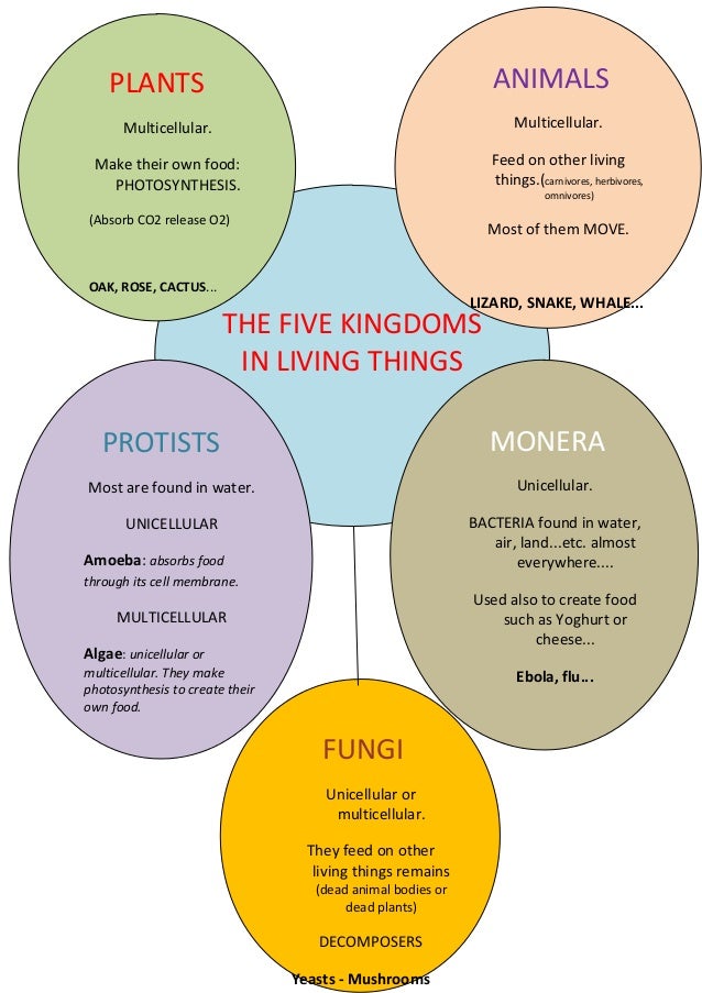 living things 5 kingdoms