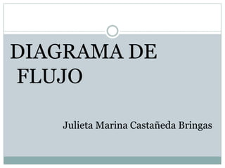 DIAGRAMA DE FLUJO Julieta Marina Castañeda Bringas 