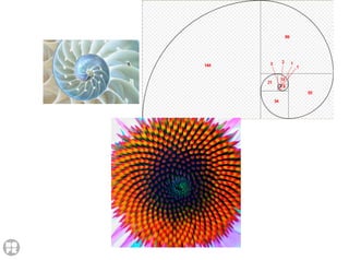 DIAGRAMACIÓN. Fundamentos y principios básicos.