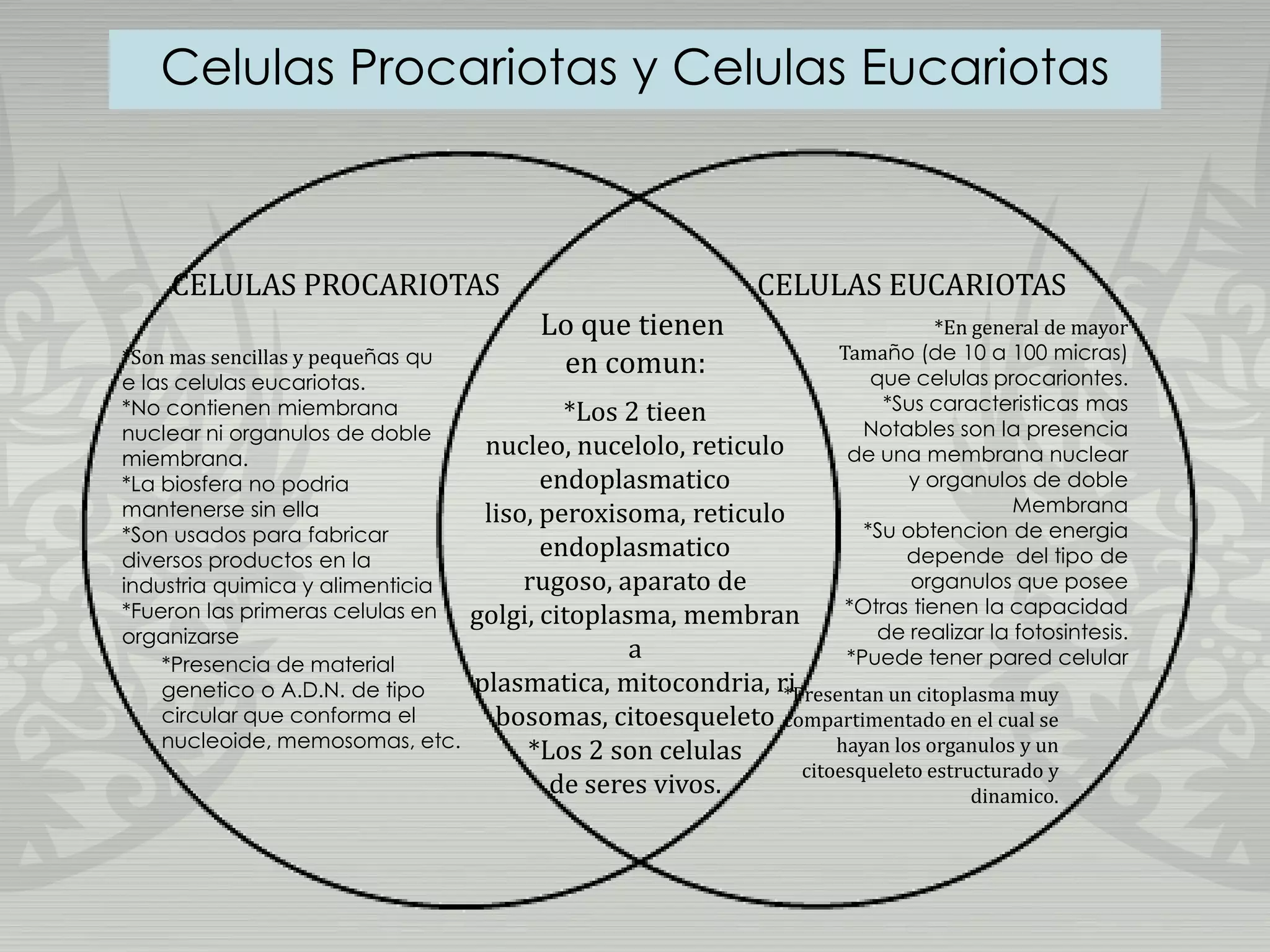 Diagrama de celulas procariotas y celulas eucariotas | PPTX ...