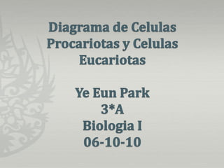 Diagrama de CelulasProcariotas y CelulasEucariotasYe Eun Park 3*ABiologia I06-10-10 
