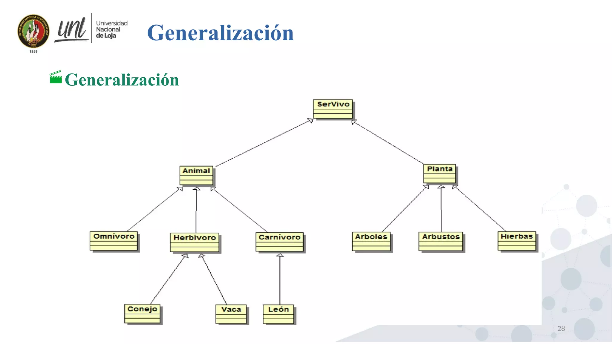 28
Generalización
Generalización
 