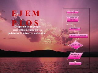 Diagrama de flujo que encuentra la suma de los primeros 50 números naturales : EJEMPLOS 