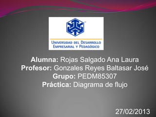 Alumna: Rojas Salgado Ana Laura
Profesor: Gonzales Reyes Baltasar José
         Grupo: PEDM85307
      Práctica: Diagrama de flujo


                            27/02/2013
 