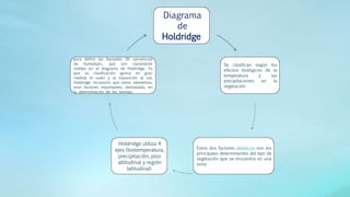 Diagrama
de
Holdridge
Se clasifican según los
efectos biológicos de la
temperatura y las
precipitaciones en la
vegetación
Estos dos factores abióticos son los
principales determinantes del tipo de
vegetación que se encuentra en una
zona
Holdridge utiliza 4
ejes (biotemperatura,
precipitación, piso
altitudinal y región
latitudinal)
para definir las llamadas 30 «provincias
de humedad», que son claramente
visibles en el diagrama de Holdridge. Ya
que su clasificación ignora en gran
medida el suelo y la exposición al sol,
Holdridge reconoció que estos elementos,
eran factores importantes, demasiado, en
la determinación de los biomas.