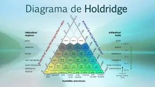 Diagrama de Holdridge
 