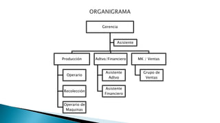 Gerencia
Producción
Operario
Recolección
Operario de
Maquinas
Adtvo/Financiero
Asistente
Adtvo
Asistente
Financiero
MK / Ventas
Grupo de
Ventas
Asistente
 
