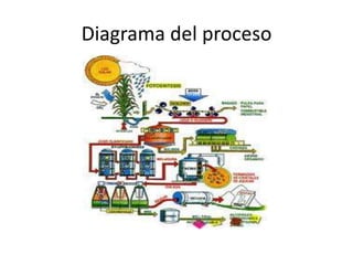 Diagrama del proceso 
