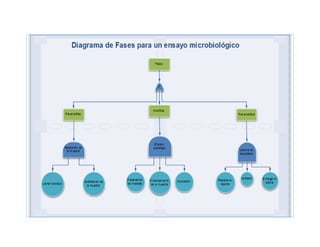 Diagrama fases para un ensayo microbiológico