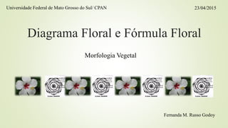 Diagrama Floral e Fórmula Floral
Morfologia Vegetal
23/04/2015Universidade Federal de Mato Grosso do Sul/ CPAN
Fernanda M. Russo Godoy
 