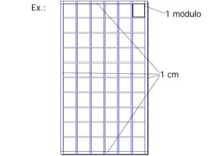 Ex.:
        1 módulo




       1 cm
 
