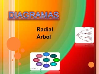 DIAGRAMAS Radial Árbol 