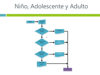 Niño, Adolescente y Adulto