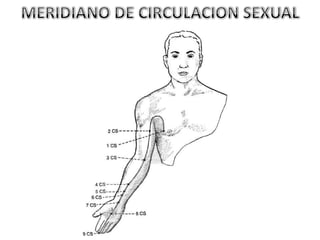MERIDIANO DE CIRCULACION SEXUAL