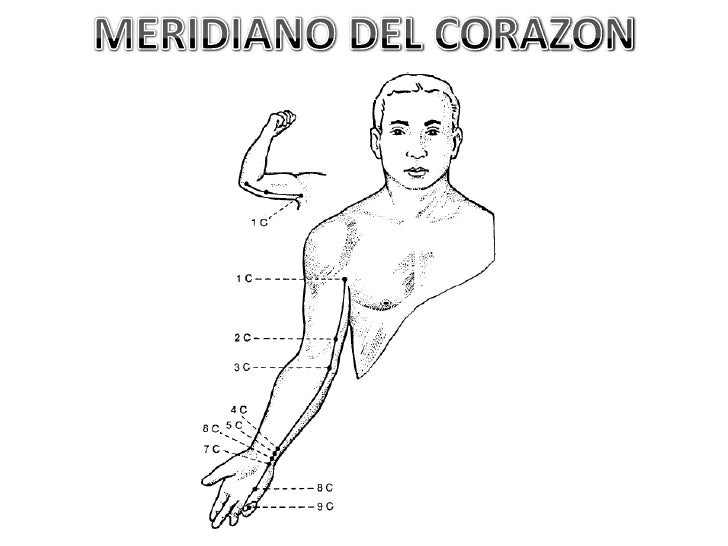 Resultado de imagen para meridianos corazon acupuntura