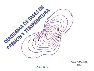 Pedro R. Marin D.
2012
PET-217
 