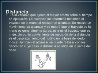 • Es la variable que ejerce el mayor efecto sobre el tiempo 
de ejecución. La distancia se determina midiendo el 
trayecto de la mano al realizar un alcanzar. Se realiza un 
movimiento de alcanzar y se notará que el trayecto de la 
mano es generalmente curvo: éste es el trayecto que se 
mide. Un punto conveniente de medición de la distancia 
es el desplazamiento del nudillo en la base del dedo 
índice. También el alcanzar se puede realizar con los 
dedos, en cuyo caso la distancia se mide en la yema del 
dedo. 
 