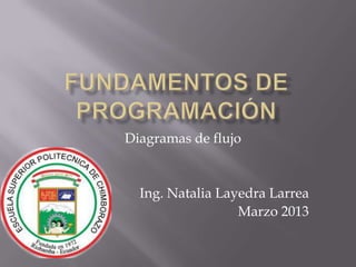 Diagramas de flujo


  Ing. Natalia Layedra Larrea
                  Marzo 2013
 